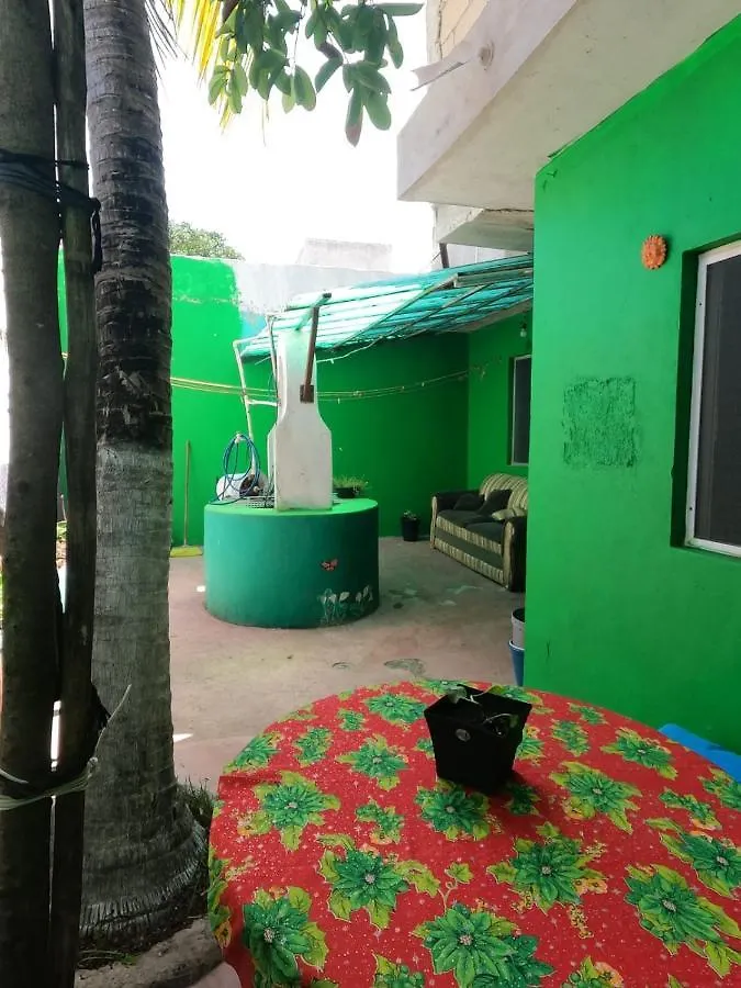 Divershostalcozumel Hostel Mexikó