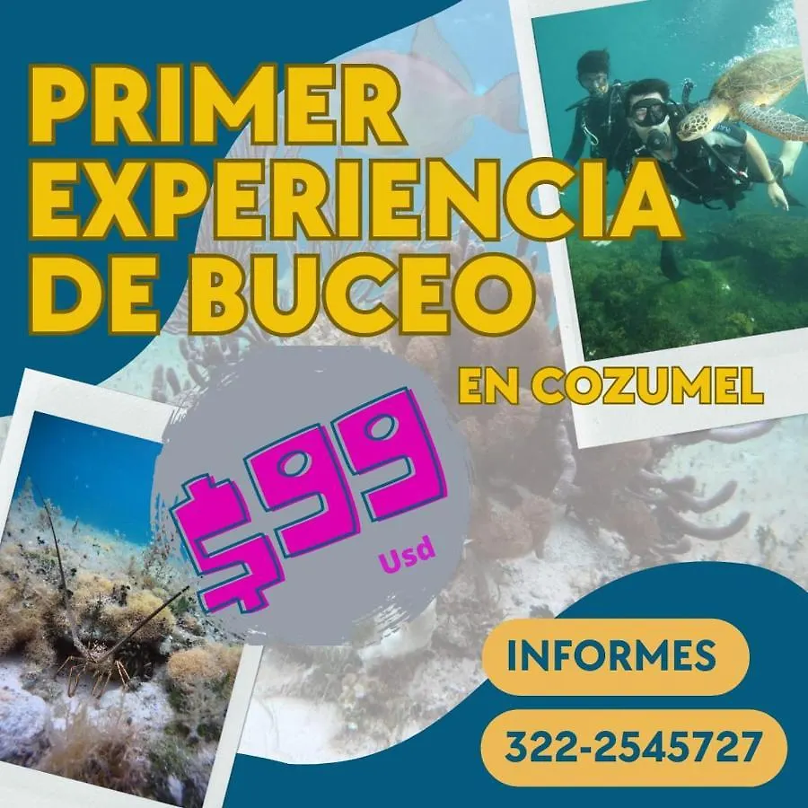 Hostel Divershostalcozumel Mexiko